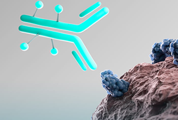 Tivdak® (tisotumab vedotin-tftv) molecule in representation of the Tivdak proposed mechanism of action